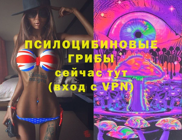spice Верхний Тагил